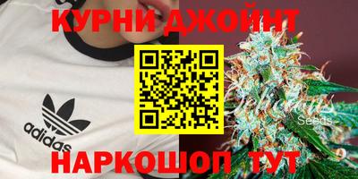 гашик Лесосибирск